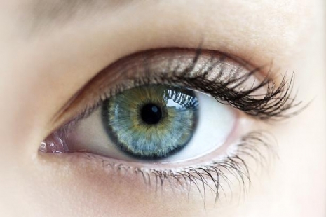 Producten voor het oog Producten voor het oog